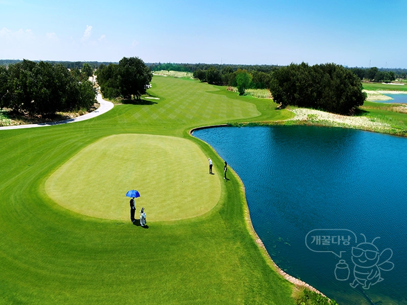 다낭 빈펄 골프장 남호이안 그린 전경