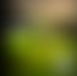 다낭 빈펄 골프장