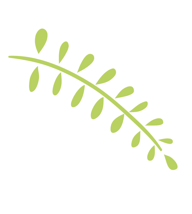 Plant-4.gif