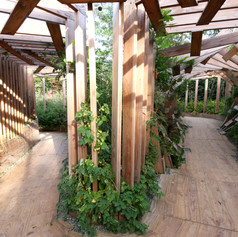 ATELIER VECTEUR_LA RIVIERE DES SENS_FESTIVAL INTERNATIONAL DES JARDINS DE CHAUMONT SUR LOIRE_ARCHITECTURE EPHEMERE_BOIS_AMENAGEMENT_PAYSAGE_PATRIMOINE_JARDIN_BOTANIQUE