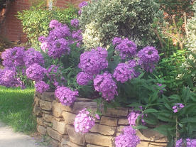raised stone garden planter.jpg