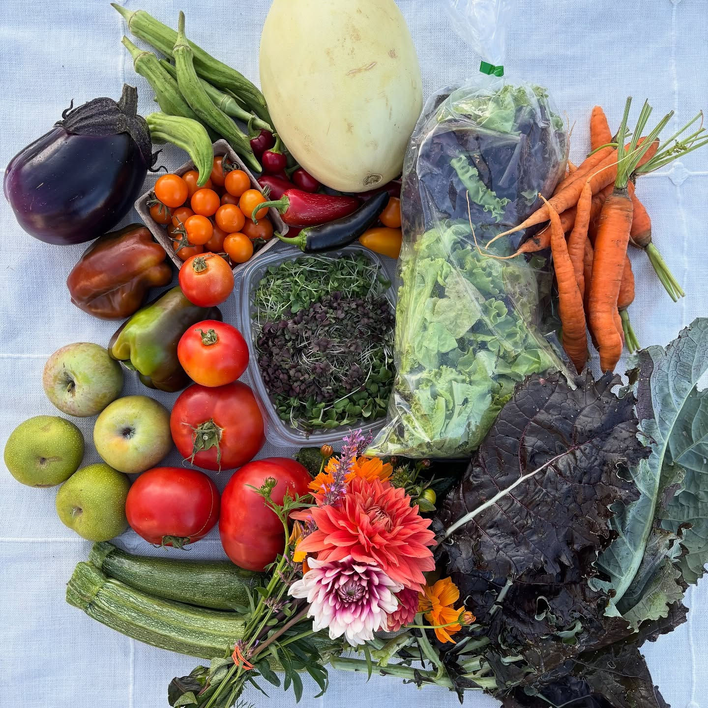 Harvest Collective