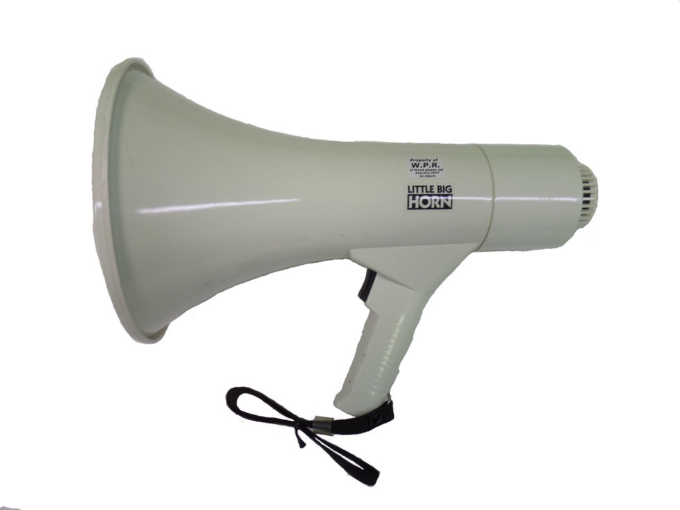 Bullhorn