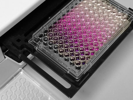 A 96 well ELISA plate