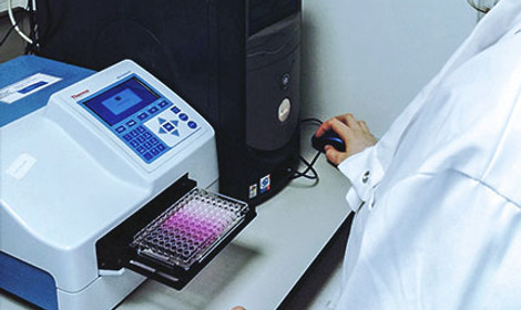Elisa plate being read