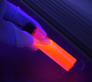 Fluorescent Conjugate