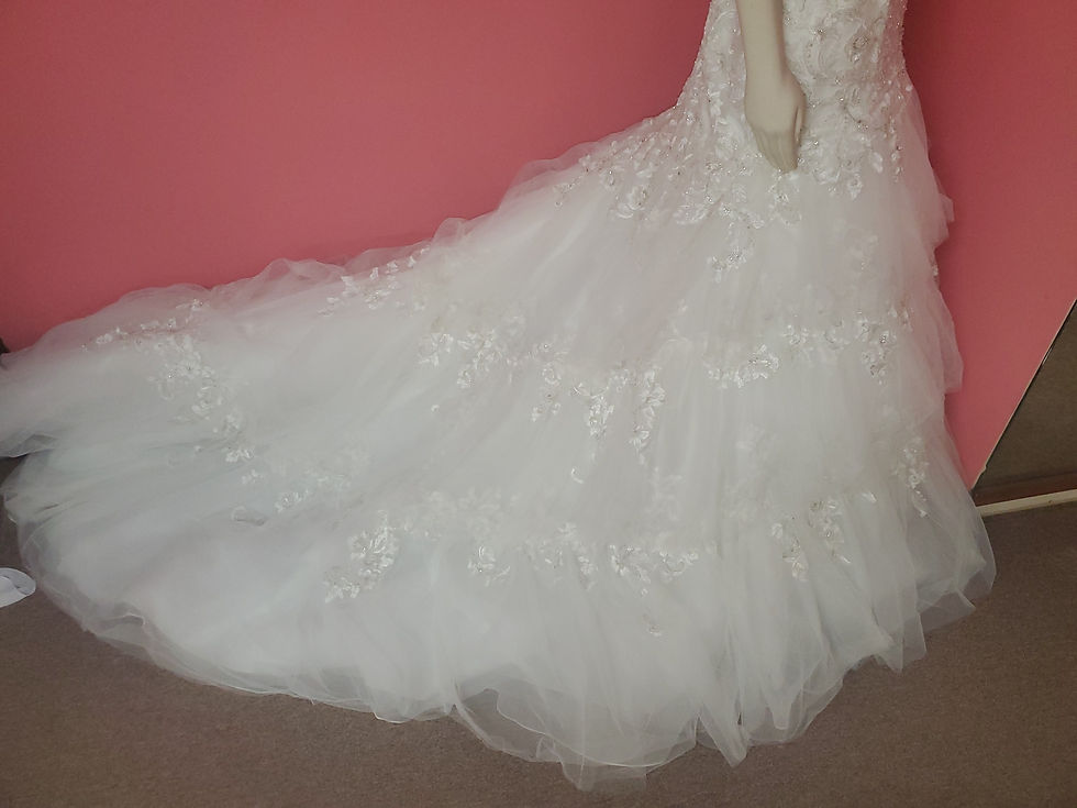 Thumbnail: NWT Sophia Tolli size 12