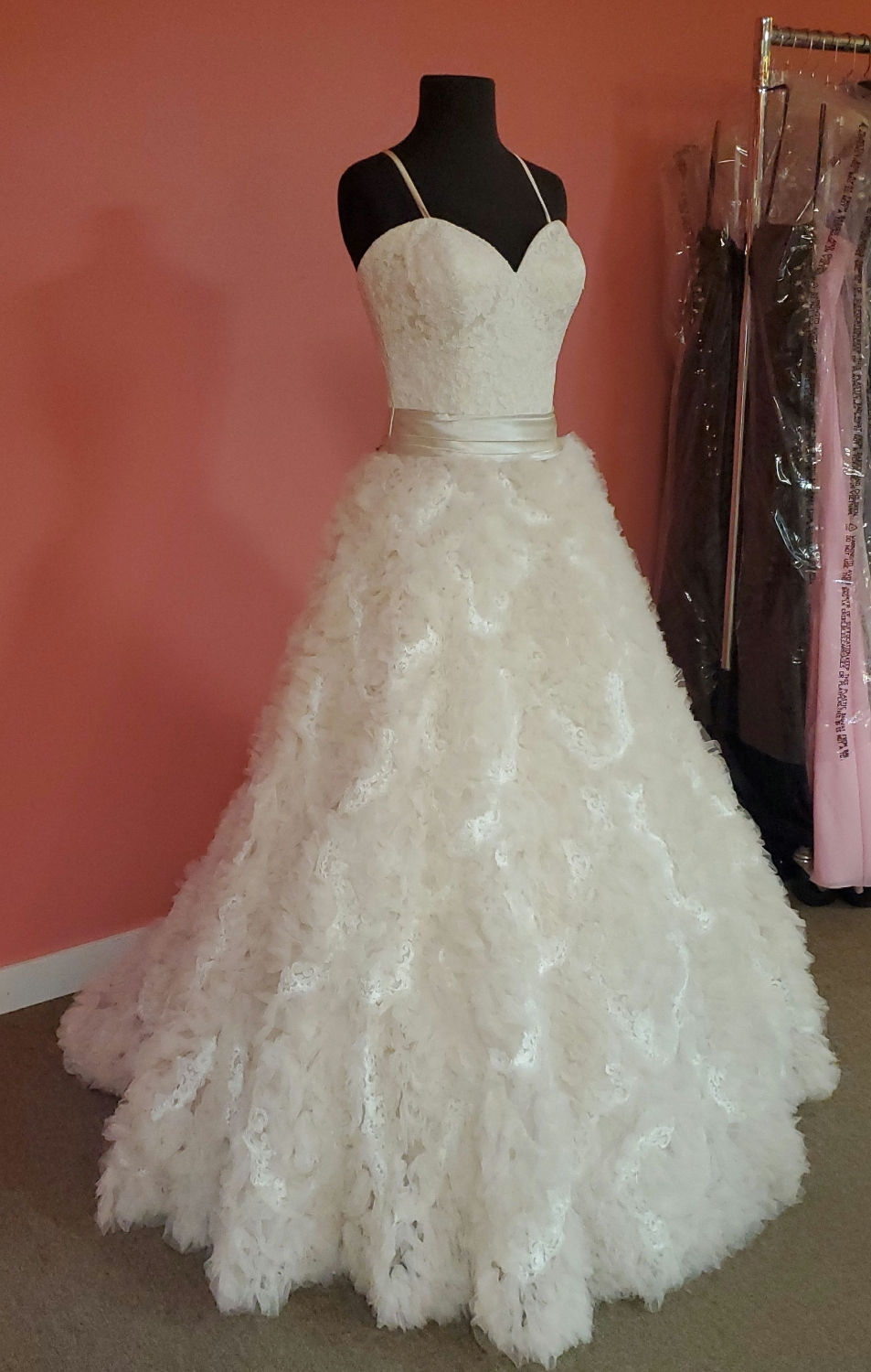 Thumbnail: NWT Allure Bridals Size 6&10