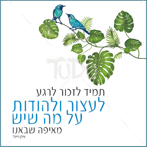 תמונה ממוזערת: תמיד לזכור