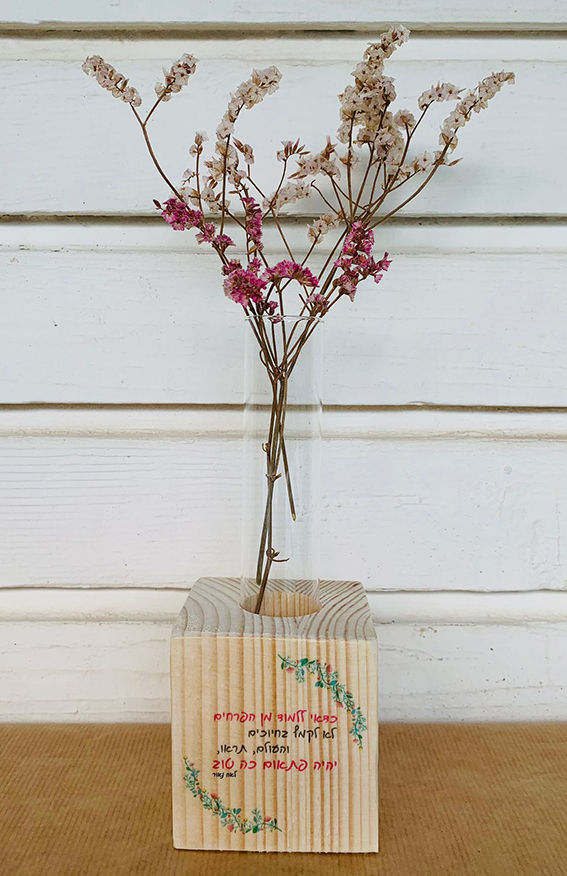 תמונה ממוזערת: קובית עץ מבחנה