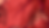fundo forum (2).png