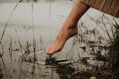 Het zelfhelend vermogen