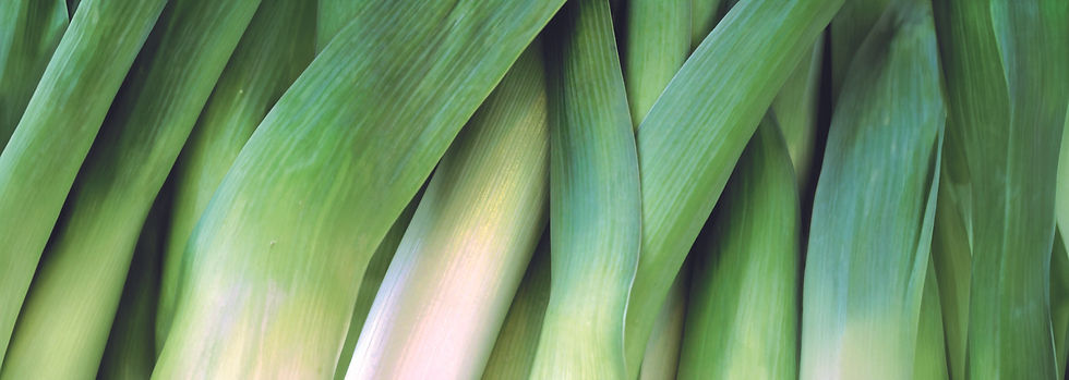 Batussen-header-achtergrond.jpg