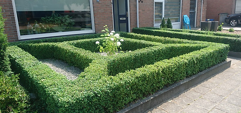 Tuinontwerp, hovenier Asten