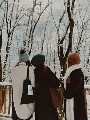pexels-meryem-sevim-144476544-11517118.jpg