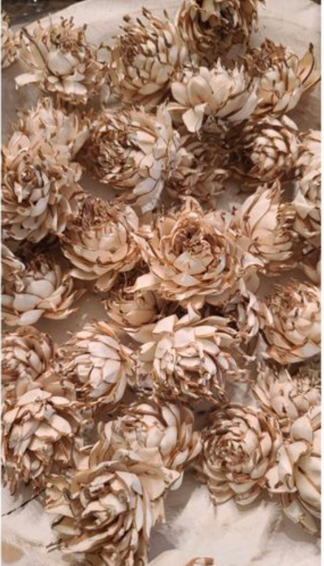 Thumbnail: Fire Cracker Sola Wood Flower Set