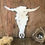 Thumbnail: Metal Steer Head Cut Out