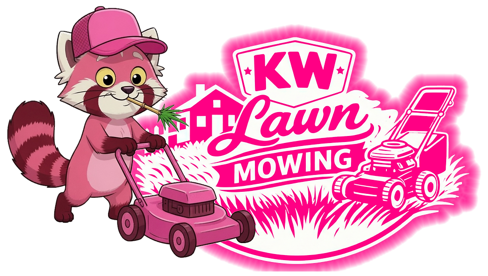 pink panda logo combo .png