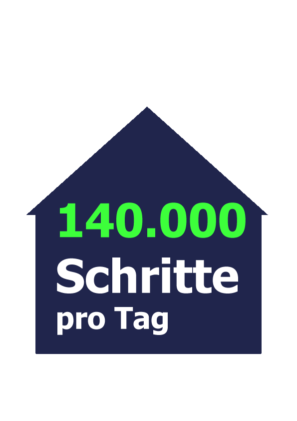 SDL_Statistik_Schritte.gif