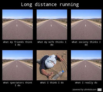 Trail vs Road Runner