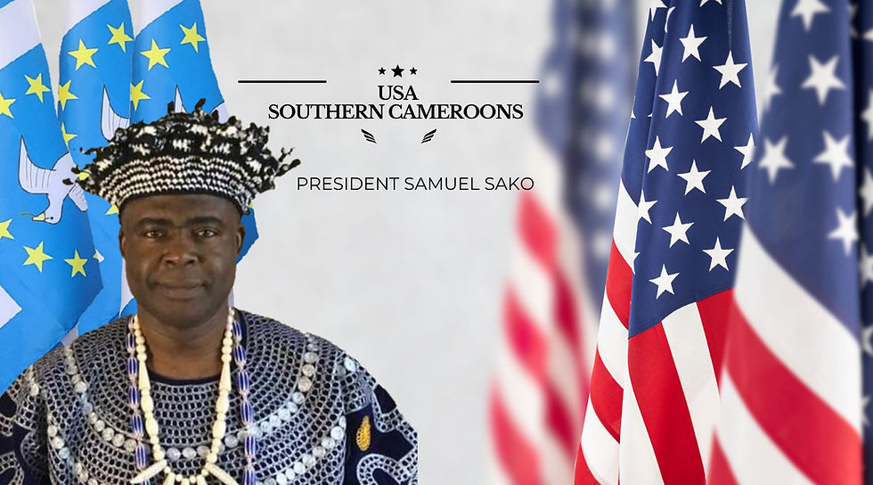 US - SOUTHERN CAMEROONS PARTNER
