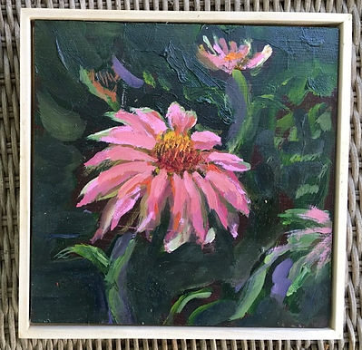 Cone Flowers