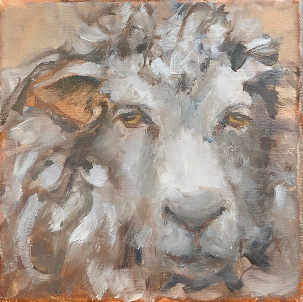Diane Lavelle