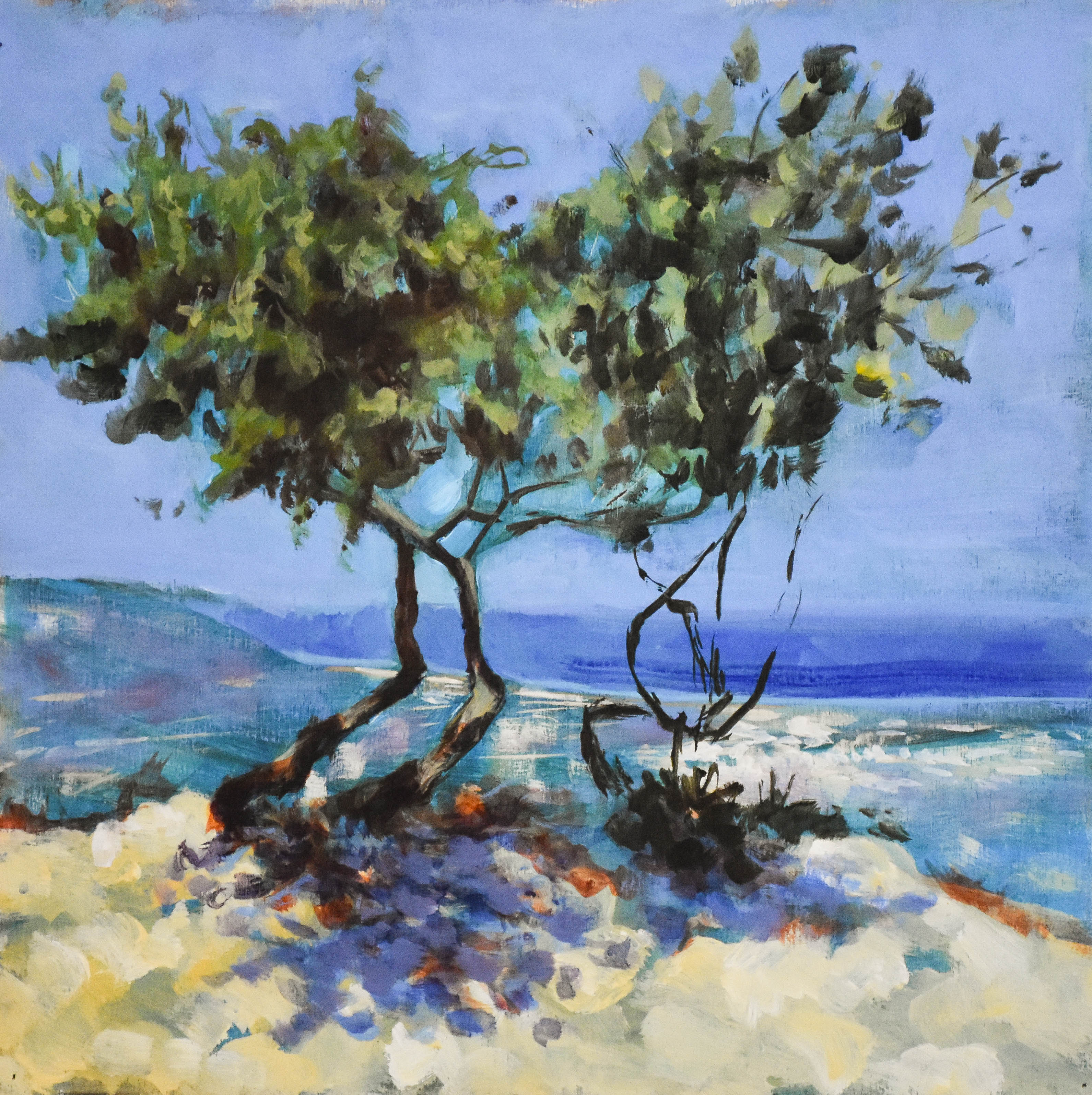 Olive Trees