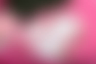 Vánoční dárky, které potěší každou ženu (a mužům usnadní život)