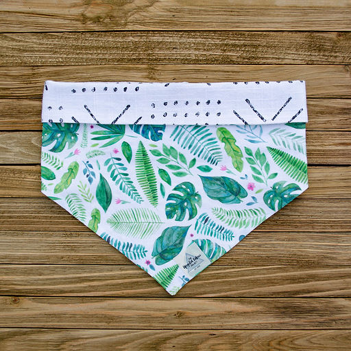 Jamie Bandana 5 (16).jpg