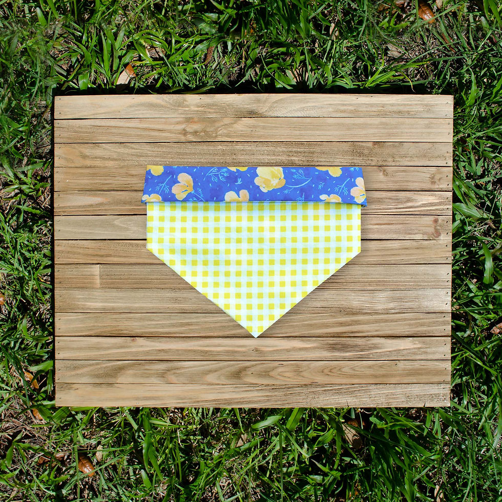 Thumbnail: Hope for Ukraine