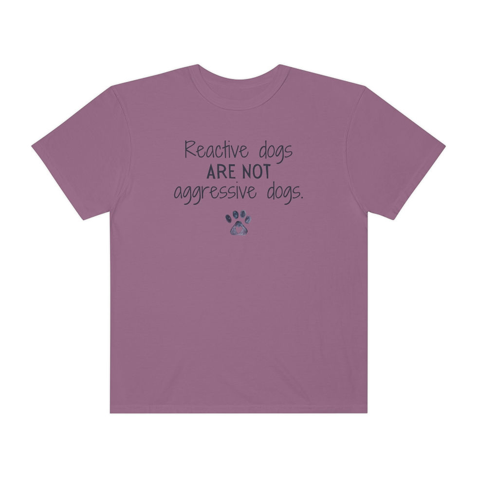 Thumbnail: Reactive Dogs ARE NOT Aggressive Dogs | Advocacy & Fundraiser T-Shirt