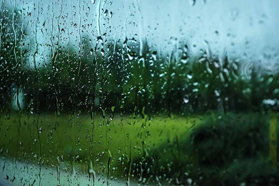 rain-4733481_1920.jpg