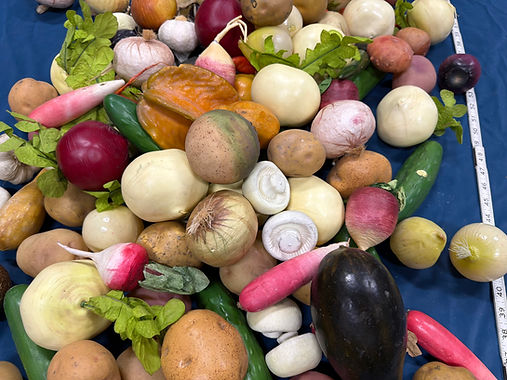 EcoSet Faux Food Collection.jpeg
