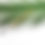 Thumbnail: 50 Disposable Lash Wands 