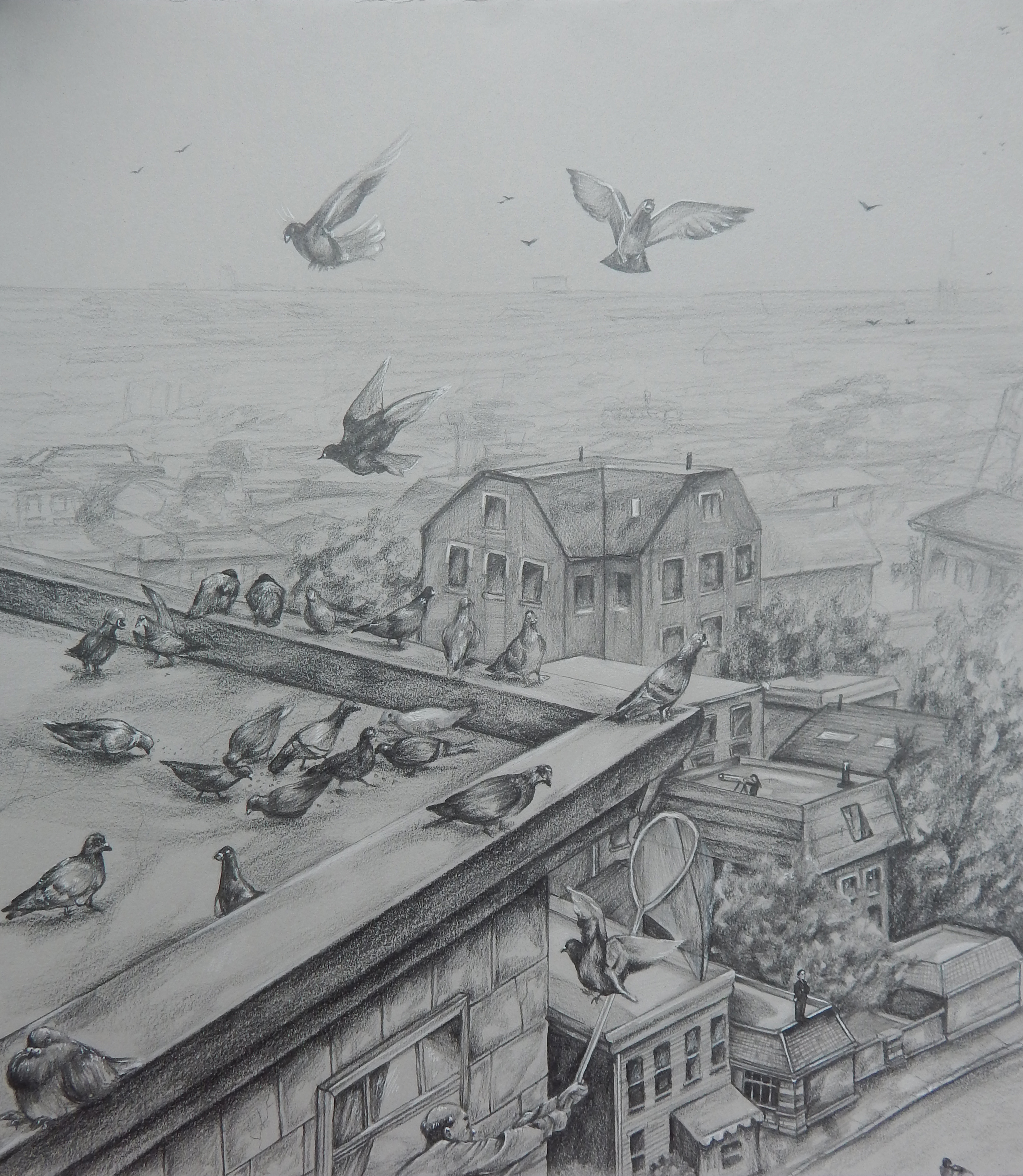 Pigeons
