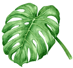 Tropical Leaves 7