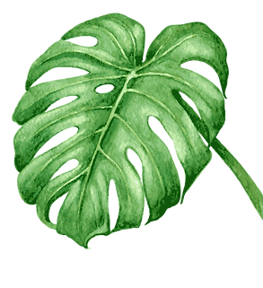 Tropical Leaves 7
