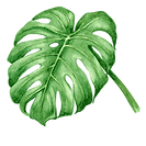 Tropical Leaves 7