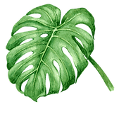Tropical Leaves 7