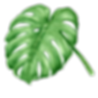 Tropical Leaves 7