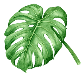 Tropical Leaves 