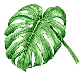 Tropical Leaves 7