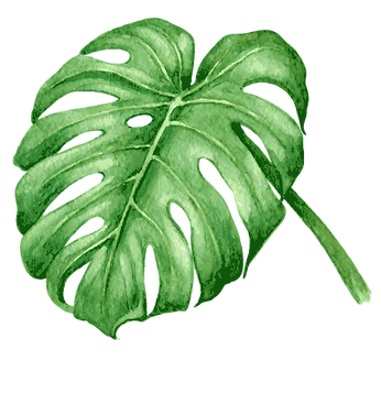 Hojas tropicales 7