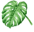 Tropical Leaves 7