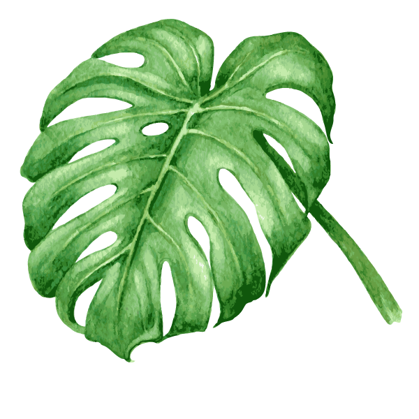 Tropical Leaves 7