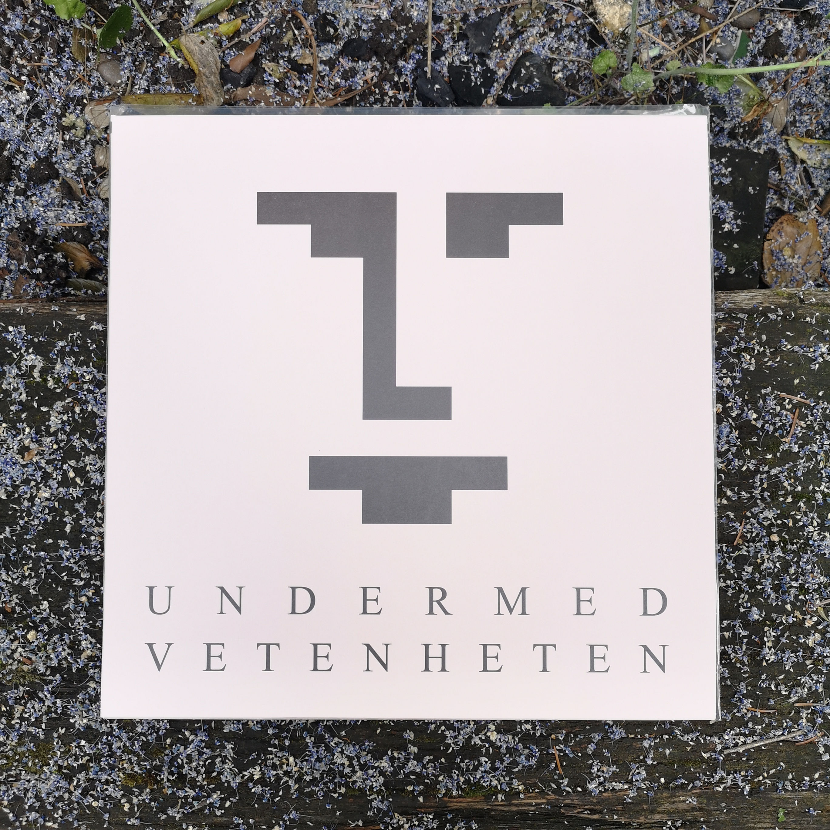 UNDERMEDVETENHETEN 12" vinyl & LARP