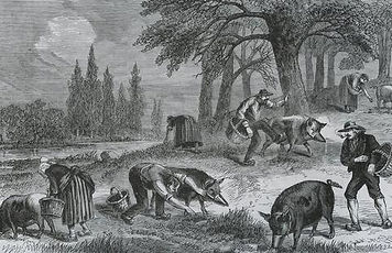 hunting-gravure-l_large.jpg
