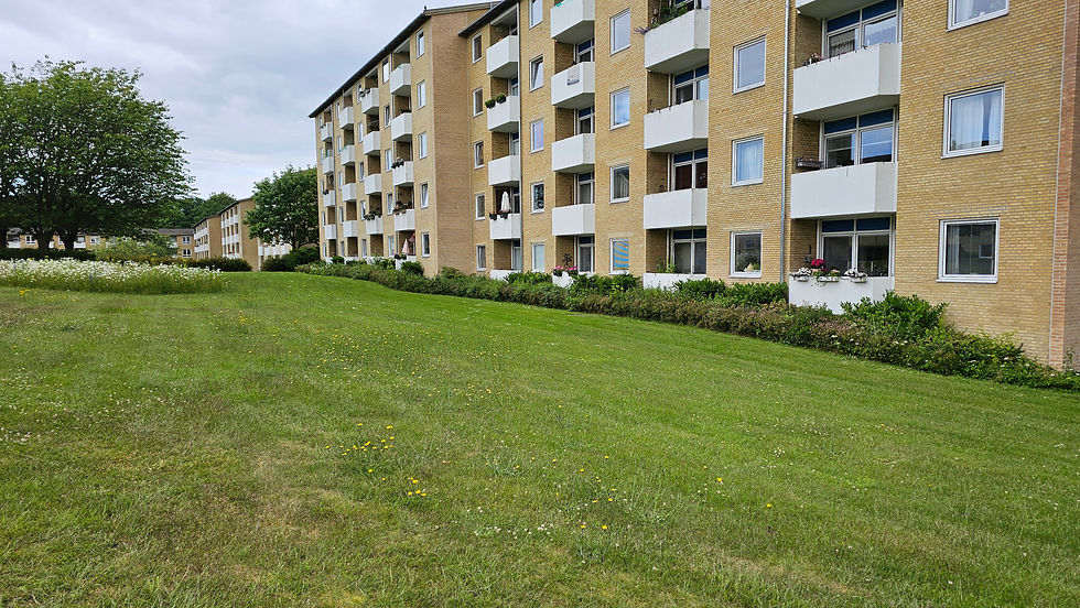 Sundparken_20240611_123356-kopi