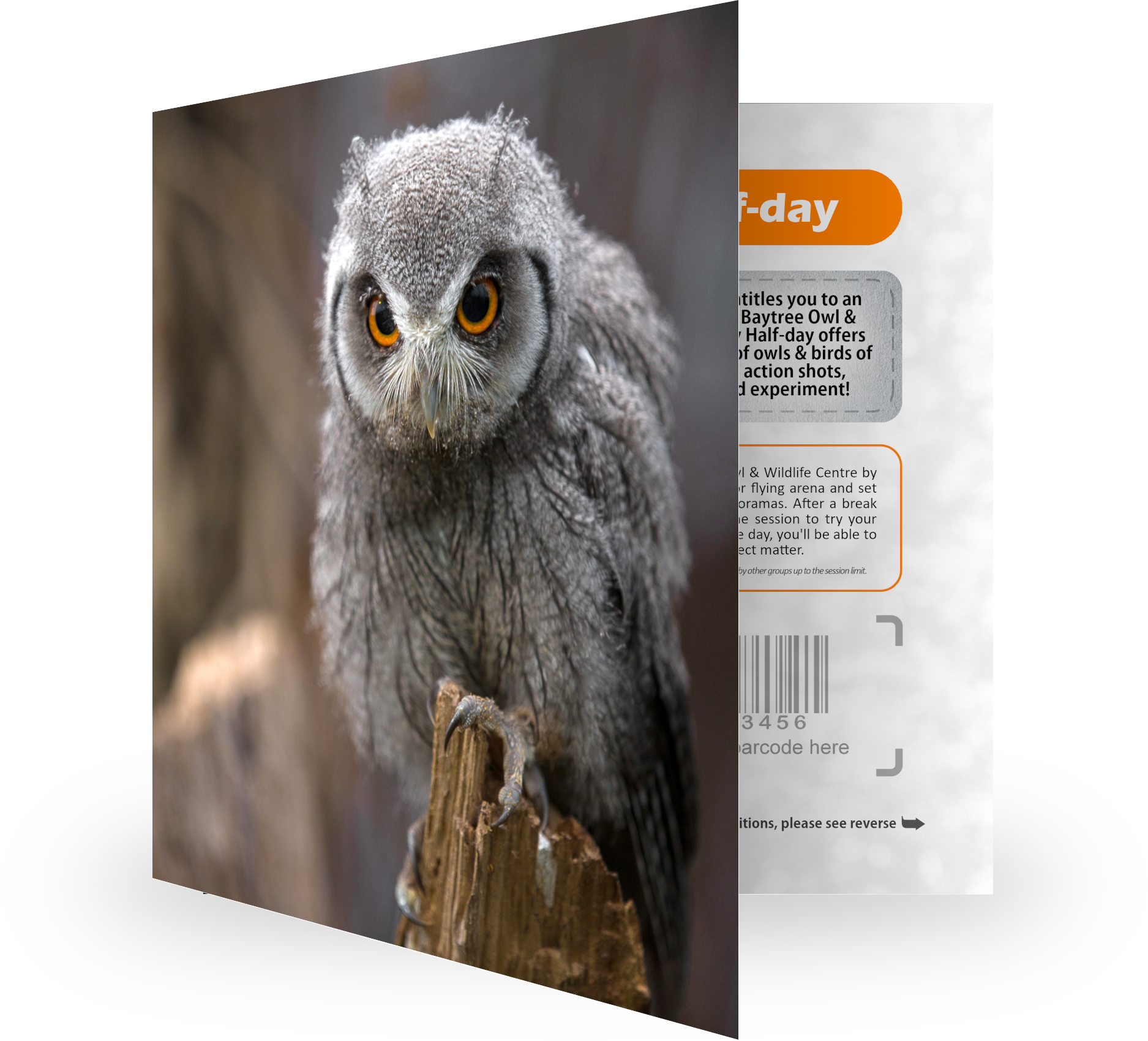 Photography Half-day Voucher (Gift Card)